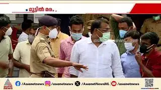 മുട്ടിൽ മരംമുറി കേസിൽ പ്രതികളായ അഗസ്റ്റിൻ സഹോദരന്മാരുടെ അപ്പീൽ തള്ളിയ കോടതി വിധി പുറത്ത്