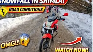 Shimla Snowfall Update ❄️ Is It Safe to Travel? Road Conditions|| 