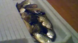 Fillet maker