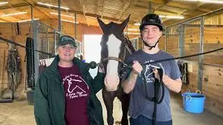 Information about our horse care needs.