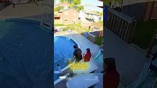 Doorbell Camera Captures Dog Falling Into Pool , however, Owner&rsquo;s Rescue Goes Hilariously Wrong
