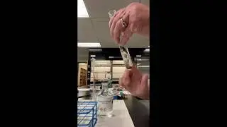 Aldehyde & Ketone Reactions Experiment