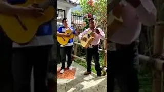 Braulio Cepeda  0939974329