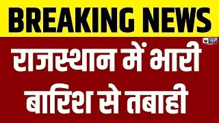 Rajasthan News: Assessment of crop damage due to rain begins, Collector seeks report | India News...