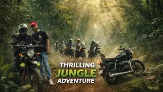 Indore to Kheoni Wildlife Sanctuary Bike Ride | Jungle Adventure on Himalayan 🏍️🌿