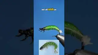 Caddis Larva!!