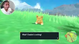 TyranitarTube Reacts to Pawmo