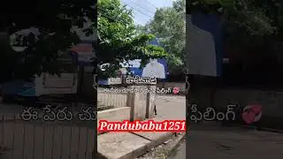 Kakinada Bus stand