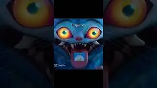 derpy!!! #derpy #kpdh #cute #videoisnotmine #notmyedit #derpycat