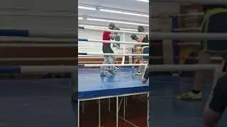 Gentlemen boxing liga ноябрь 2023, раунд 2