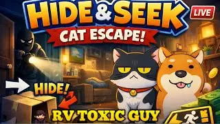 🔴Hide & Seek Cat Escape Day 11 Live || #hide&seek #trendinggames #todaystrending