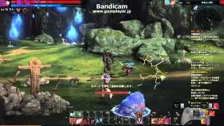 tera C&beta;T ヒューマン アーチャー LV16