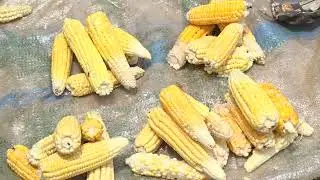 Need  to Go to back For  farming .