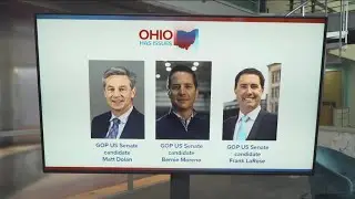 Ohio Has Issues Streaming Special: Why the Ohio Senate race is so important
