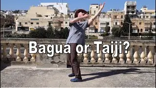 Bagua or Taiji