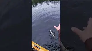 The WALLEYE Hole / Ignace, Ontario, Canada