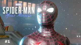 WEB WEDNESDAY: SPIDER-MAN | MILES MORALES | PART 1
