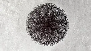 Gestalt reveals order beneath chaos
