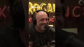 France Prepares For War  Hospitals Ready by 2026 #comedian #podcast #joerogan