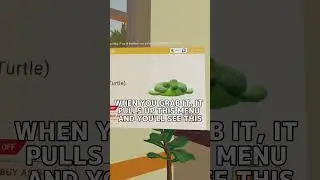 NEW Secret Turtle Floatie In The Rec Center | Rec Room