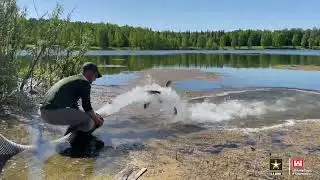 Chena Lakes stocked with rainbow trout by Fish and Game