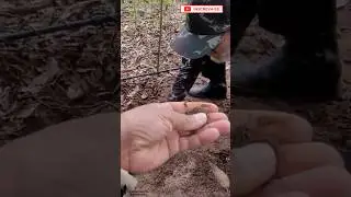 Um achado misterioso e sem explica&ccedil;&atilde;o!