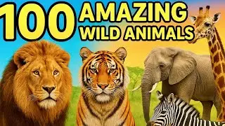 100 AMAZING WILD ANIMALS in 3D! 🦁🦓 Realistic Jungle Adventure for Kids | Learn Animal Names & Sounds