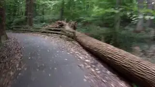 Northern Delaware Greenway Trail