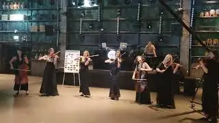 כנריות,הרכב כנריות,מופע כנריות,להקת כנריות לחתונות,לאירועים,גימיק מיוחד,כנריות קלאופטרה,0546211560
