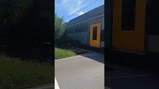 rok a viserba