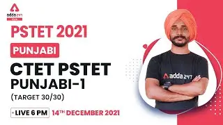 Punjab PSTET 2021 | PSTET Punjabi Grammar | CTET PSTET 1 TARGET 30/30