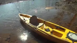 Native Watercraft Manta Ray