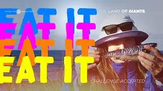 Waiting for Snow: How we passed the time filming a ski movie in Japan