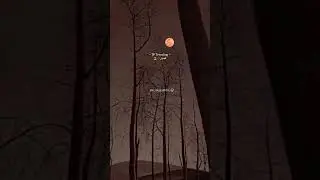 Alone peace 🕊️ Boomi enna suthuthe 💜 TP Trending