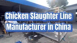 The Best Chicken Slaughtering Equipment Line Supplier in China Poultry Abattoir Machinery