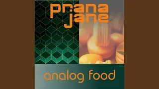 Analog Food (Dub Radio Edit)