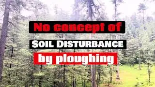 Nature tells us about PQNK.In Jungle , no concept of soil disturbance, fertilisers & pesticides