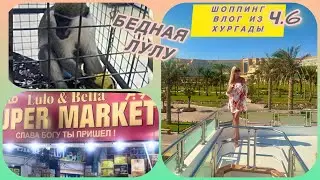 Мои покупки/Еду в Гомлу/Кормим обезьянку/ Об анимации, еде и в целом о &laquo;MirageBayResort&raquo;/#Хургада&rsquo;25