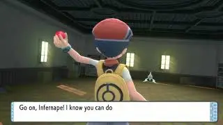Pokemon Brilliant Diamond / Shining Pearl - Finding Rotom and how to change Rotom's form