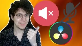 How To Mute Part Of Audio In Davinci Resolve