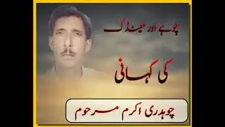 chohay  or mindic ki kahani | Profeser e Mosuki Chaudhary Akram Gujjer 