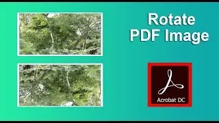 How to Rotate PDF Image or object in Adobe Acrobat Pro