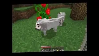Exploriing the world