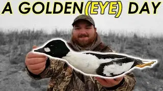The LOST Goldeneye Hunt | Late Season Duck Hunting 2018