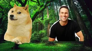 Kenneth Saves The Sun Bears