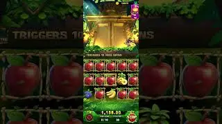 Bet 30 yono tricks jungle delight #yonorummy #jungledelight #slot #yonoslots