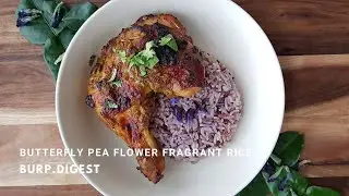 How to Cook Butterfly Pea Fragrant Rice | Burp.Digest by Fion Boon