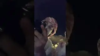بث محمد العيافي مع الحلافي وطلال