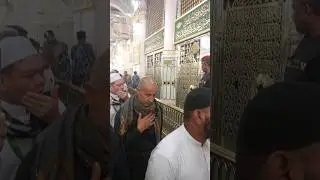 Roza e Rosool #live #islam #quran #allah #muhammad #status #viral #hajj #islam #quran #allah #shots