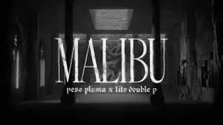 malibú - Peso Pluma & Tito Double P (Lyric Video)